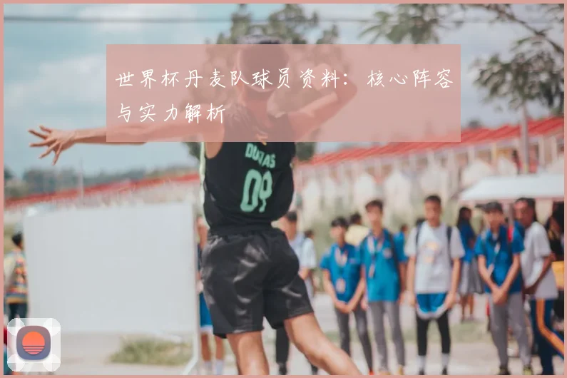 世界杯丹麦队球员资料：核心阵容与实力解析