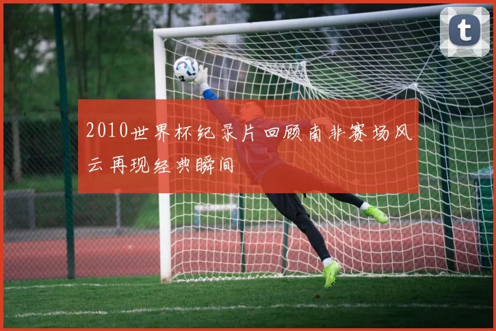 2010世界杯纪录片回顾南非赛场风云再现经典瞬间