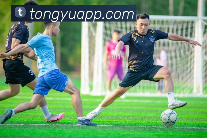 mk体育在线官网首页全站App